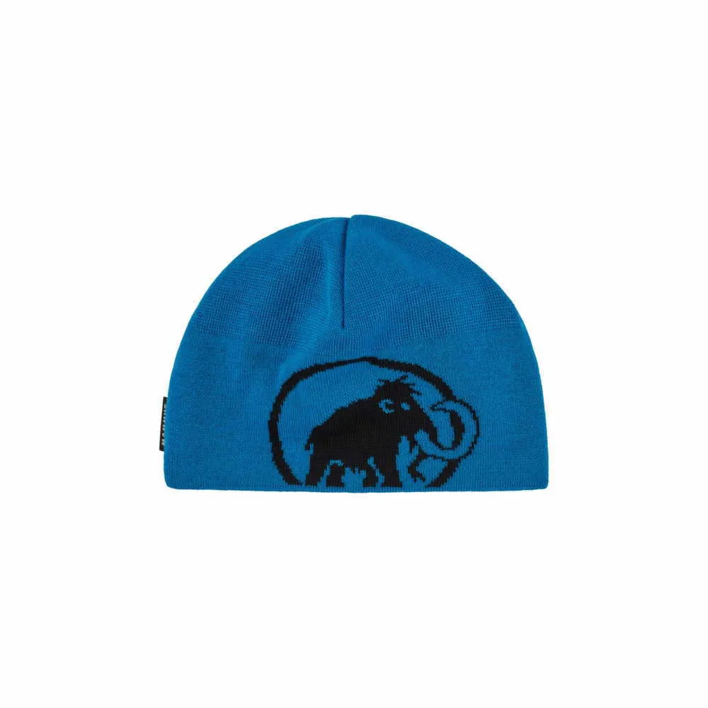 MAMMUT Feinstrick Mütze Blau Textil MAMMUT Feinstrick Mütze Blau Textil