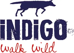 INDIGO INDIGO