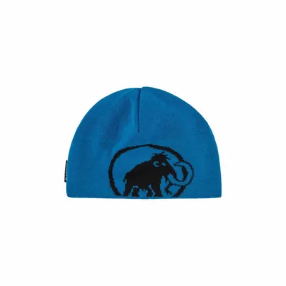 MAMMUT Feinstrick Mütze Blau Textil MAMMUT Feinstrick Mütze Blau Textil